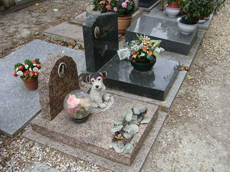 Захоронения животных (собаки, кошки) в микрорайоне Внуково 