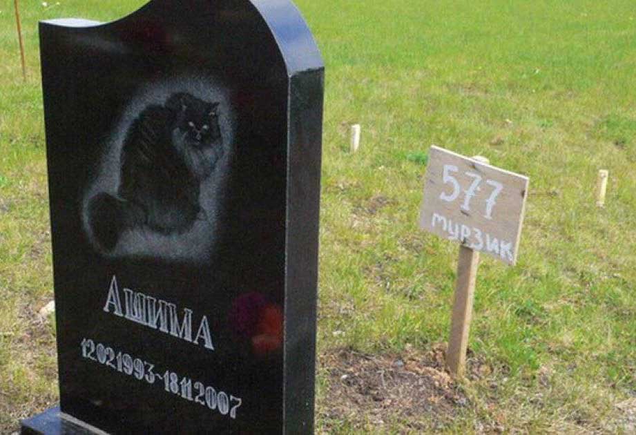 Похоронить животное на кладбище в микрорайоне Внуково 