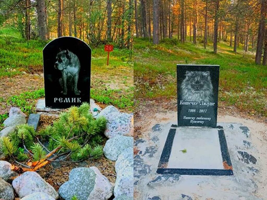 Изготовление надгробных плит для животных (собаки, кошки) в микрорайоне Внуково  